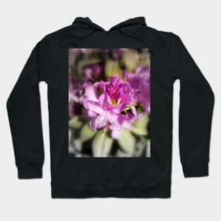 rhodedendron 4 Hoodie